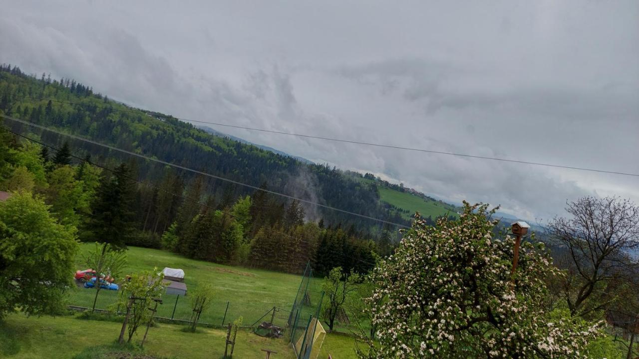 Domek Nad Lasem Koniaków Exterior foto