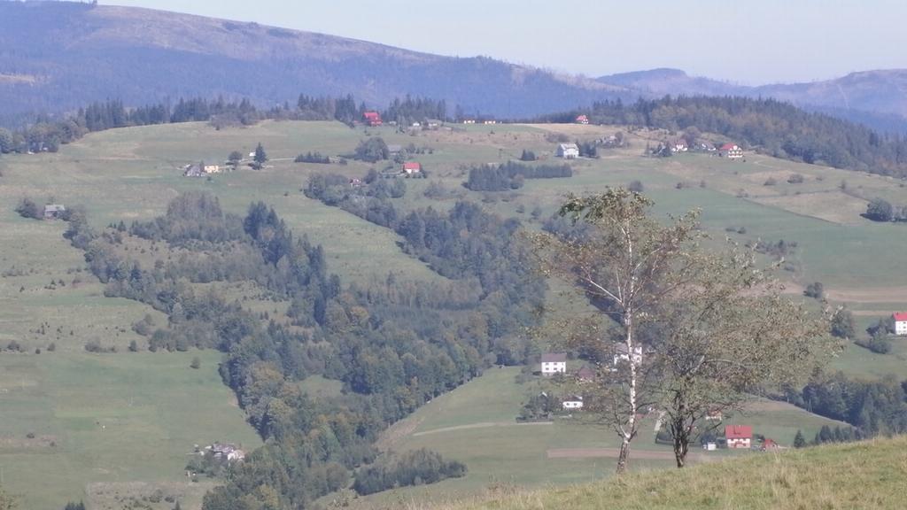 Domek Nad Lasem Koniaków Exterior foto